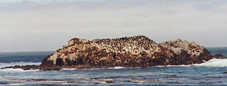 Seal Rock