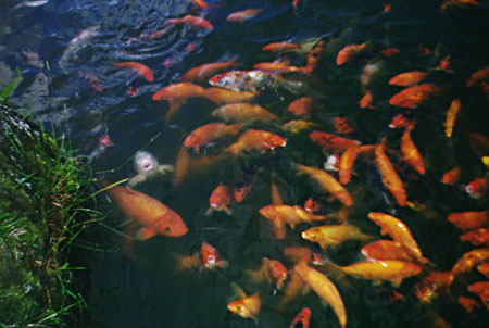 Valley of the Temples